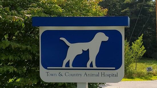 Town & Country Animal Hospital, New Boston New Hampshire - Home